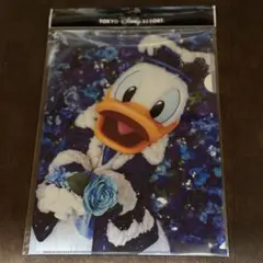 東京ディズニーリゾート ドナルドダック クリアファイル