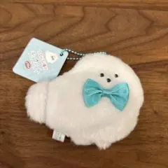新品】つぶらな瞳のチョコミント（ぽめらにあん おれんじ） - メルカリ