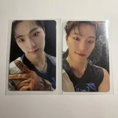 face the sun ディノ