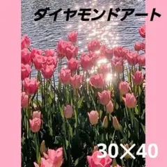 ダイヤモンドアート チューリップ 花 30×40 ラウンドビーズ - メルカリ