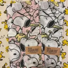 Item thumbnail for item 8c484da5-5563-4cb6-9721-d144b82f6371