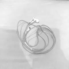 Apple 純正 有線イヤホン 箱無し lightning