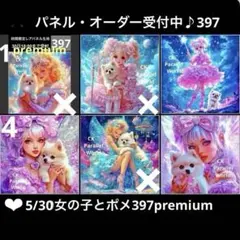 オーダーページ　5/30女の子とポメ397premium レアパネル
