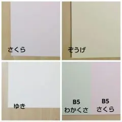 Item thumbnail for item f055a29b-2ebc-48d5-8e81-5e1811c9f94c