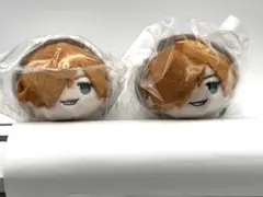 FGO もちマス SUMMER2 水着　ロビン　2点