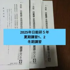 2025年 日能研 5年 夏期講習特別テスト①②❸ 2025年 日能研 5年 夏期講習特別テスト・冬期講習特別テスト - メルカリ