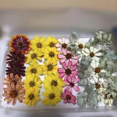 Item thumbnail for item 924849e7-73ab-4e23-83ce-a983bf2a2832