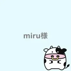 miru様 リクエスト 3点 まとめ商品