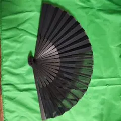 Item thumbnail for item 9244292d-7310-44fb-b6fd-7a63f1050cd7