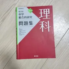 Item thumbnail for item 731c88e7-7290-452a-af82-9bfe1fb0935a