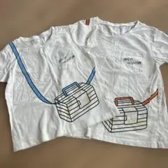 インセクトコレクション