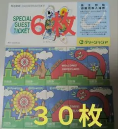 【９月】三井グリーンランド株主優待券入場券入園券６枚と乗り物券３０枚の１セットＰのサムネイル