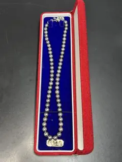 Item thumbnail for item 238aac9c-518d-4796-8a7f-0b0666d20021