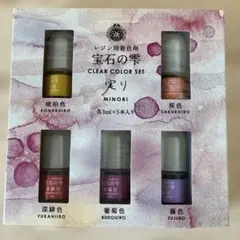 宝石の雫　実りセットレジン用着色剤 5本セット✖️2お得新品セット