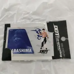 ＤＤＴ プロレスリング 『ＨＡＲＡＳＨＩＭＡ』ＩＣカードステッカー