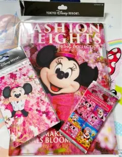 ディズニー イマジニングザマジック ミニーマウス 3点セット