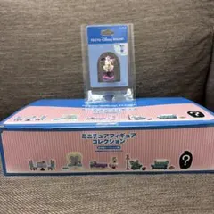 東京ディズニーリゾート ミニチュアフィギュアコレクション　ミニーの家➕ミニー