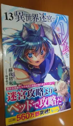 特典付き　異世界迷宮でハーレムを 13 (ヒーロー文庫)／蘇我捨恥