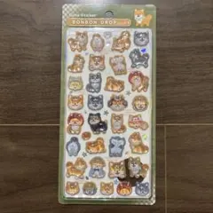 ボンボンドロップシール/BONBON DROP