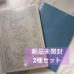 ALD1 UNBREAKABLE/少年BEAST 2種 【新品未開封】
