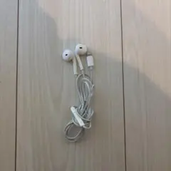【即日発送】Apple純正イヤホン 有線イヤホン