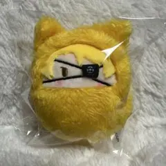 カラフルピーチ　くるみたぴぬい　たっつん　からピチ