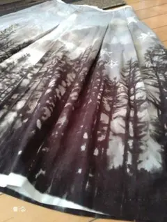 Item thumbnail for item 052ef8b7-3bde-427f-a0ff-cd3e8869bbbb