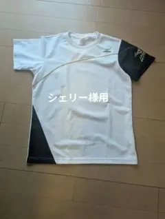 Item thumbnail for item 29c5f54b-c4b9-457d-8771-7f5e4ca9ac2a