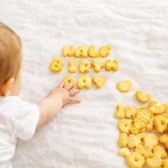 オーダー◎ ころんと可愛い フェイククッキー ハーフバースデー