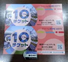 東京ドームシティ 得10チケット 2冊 20ポイント スパ ラクーア 等