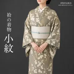 洗える着物 単衣 白紬調 夏着物 裄67 帯セット ポリエステル た68 洗える着物 単衣 白紬調 夏着物 裄67 帯セット ポリエステル た68