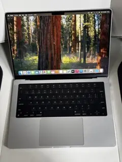 Apple MacBook Pro 14“ M1 Max 64GB US