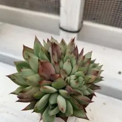 優飛mama様 リクエスト 4点 まとめ商品