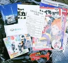 ハイキュー!! ファンパーク FAN PARK 来場者記念品　入場特典