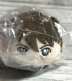 名探偵コナン もちマス 工藤新一 ぬいぐるみ