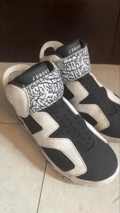 Nike Jordan 6 ナイキ ジョーダン22cm