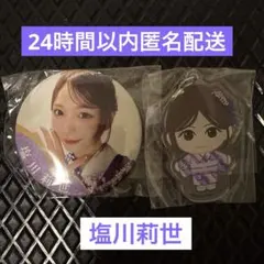 塩川莉世　缶バッジ　46個 2026年最新】塩川りせの人気アイテム - メルカリ