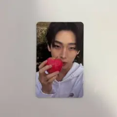 THE SIN:VANISH FUGITIVES ver ソヌ トレカ