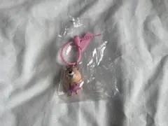 【即購入可】クマタン ガチャガチャ キーホルダー