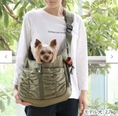 Item thumbnail for item d16d21c5-de83-45eb-8fae-a75a452432f2