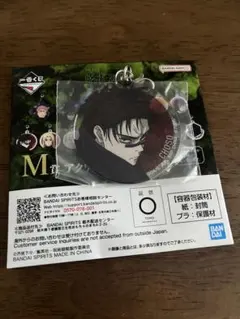 呪術廻戦　一番くじ　M賞　脹相