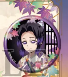 ririちゃん専用《胡蝶しのぶセット》