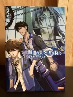 DSゲーム 暗闇の果てで君を待つ 公式ガイドブック 初版 エンターブレイン