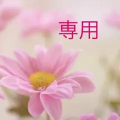 ZAZA様 リクエスト 2点 まとめ商品　リピ割