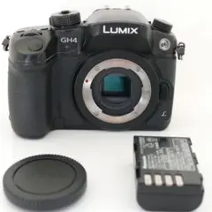 2025年最新】dmc-gh4の人気アイテム - メルカリ