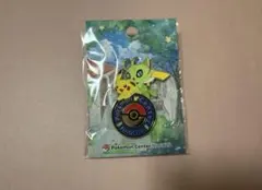 2025年最新】ポケモンセンター ナゴヤ ピンズの人気アイテム - メルカリ