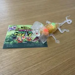 変形爬虫類リアル トカゲ＆ワニ リボーン！ エリマキトカゲのサムネイル