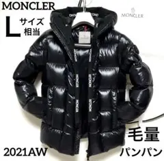 光沢ダウン ダウンジャケット