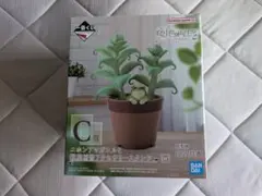 一番くじ 爬虫類＆両生類 C賞 ニホンアマガエルと観葉植物アクセサリースタンド