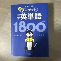 Item thumbnail for item b37fc155-1897-4b30-bfe1-75cb1b9fdecd